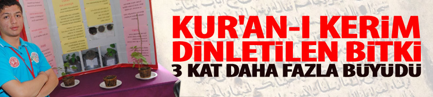 Bitki Üç Kat Daha Fazla Büyüdü