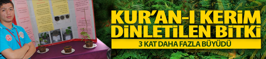 Bitki Üç Kat Daha Fazla Büyüdü