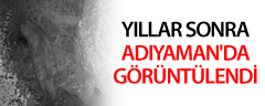 Yıllar Sonra Adıyaman'da Görüntülendi