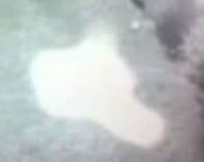 ew2nq_1409380758_416.jpg ew2nq_1409380758_416.jpg