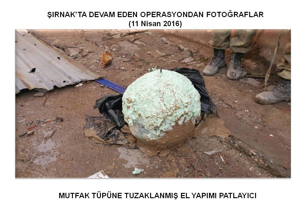 Teröristin evinin bahçesinde öyle bir şey bulundu ki... galerisi resim 1
