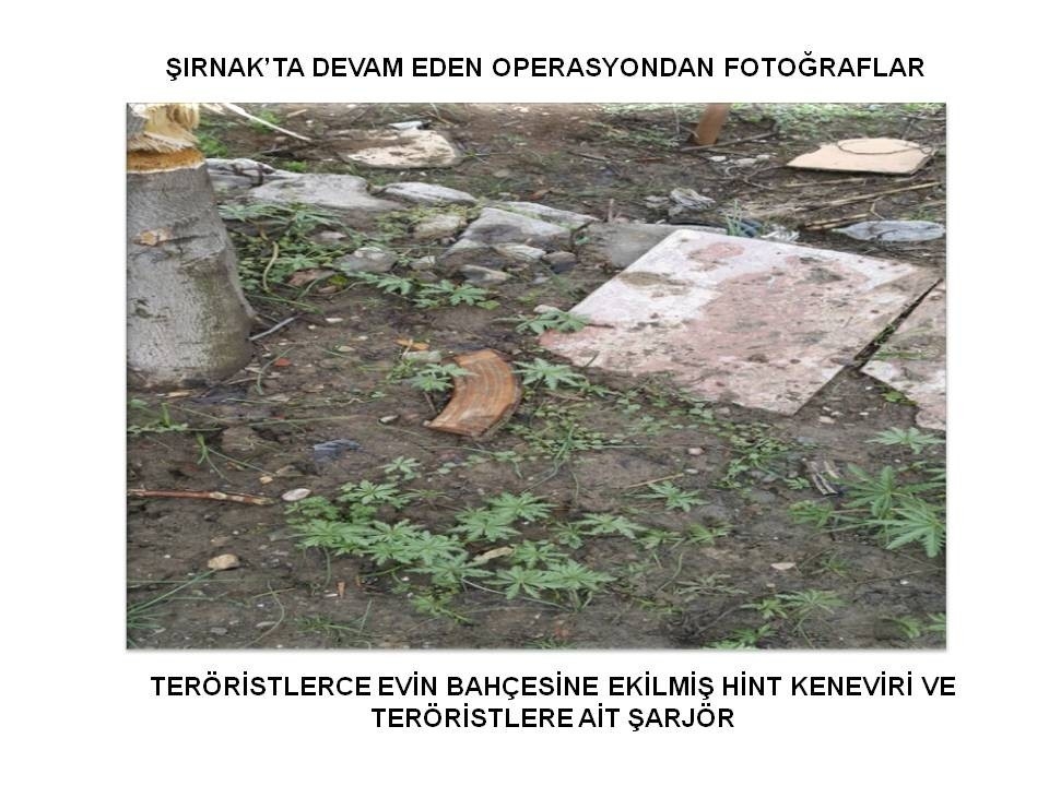 Teröristin evinin bahçesinde öyle bir şey bulundu ki... galerisi resim 4
