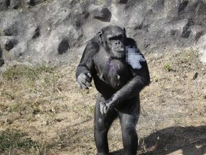 Günde 20 tane içmeden duramıyor!