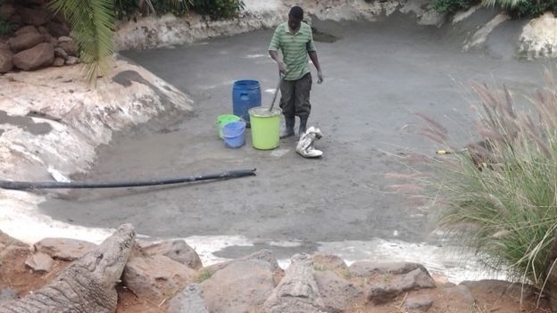 Afrika'nın yeni geçim kaynağı oldular... galerisi resim 8