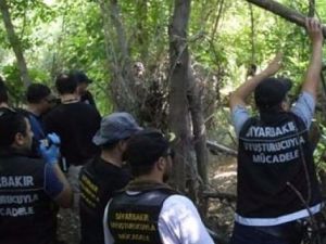 Diyarbakır'da dev operasyon!