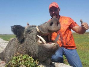 200 kiloluk dev domuzu böyle avladı