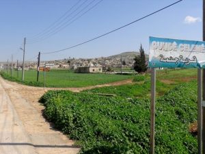 Afrin'den sıcak görüntüler! Celeme böyle alındı!