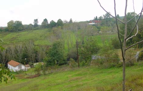 SIZLERDEN GELENLER galerisi resim 1