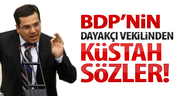BDP'nin Dayakçı Vekilinden Küstah Sözler