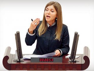 MHP'li Topçu: "Biz De Mi Dağa Çıksaydık?"