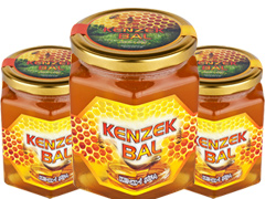 Kenzek, hastalık öncesi sağlık sigortanız