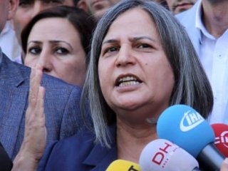 İşte Kışanak ve Anlı'nın tutuklanma gerekçesi