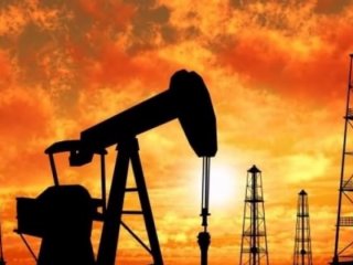 Meksika'da petrol hırsızlığı