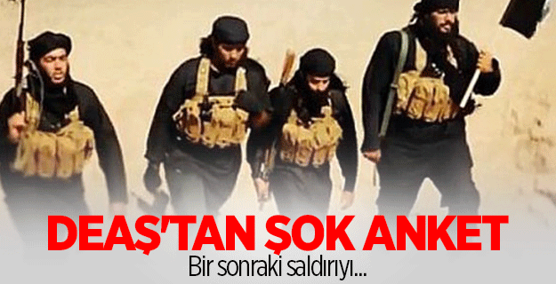 DEAŞ'tan şok anket!