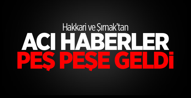 Hakkari ve Şırnak'ta 2 şehit