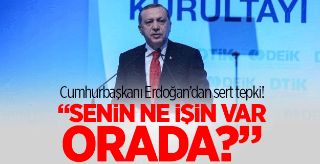 Cumhurbaşkanı Erdoğan: Senin ne işin var orada?