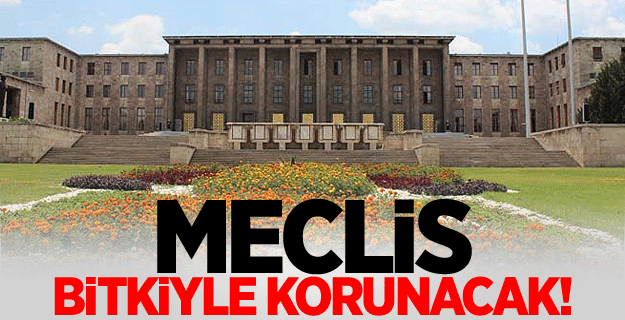 Meclis'e bitkiyle korunacak!