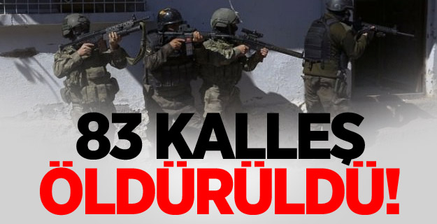 Hakkari'de 83 PKK'lı öldürüldü