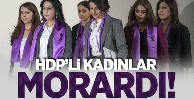 HDP'li kadınlar morardı!
