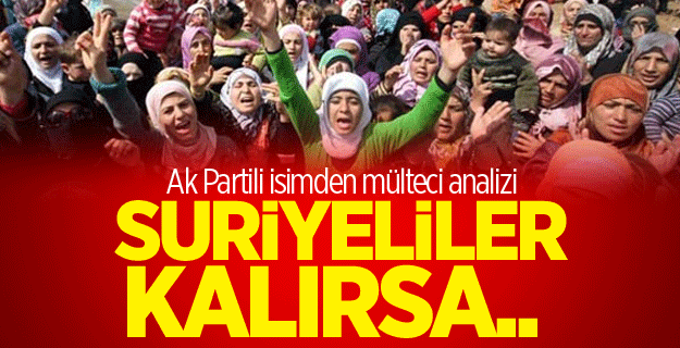 Ak Partili isimden mülteci analizi