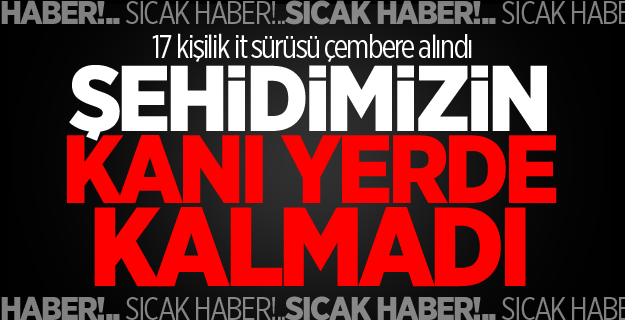 Polisi şehit eden teröristler öldürüldü!