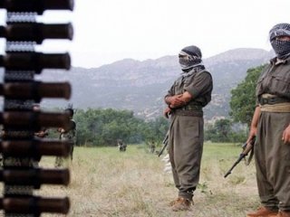 Yüksekova'da 2 PKK'lı etkisiz hale getirildi
