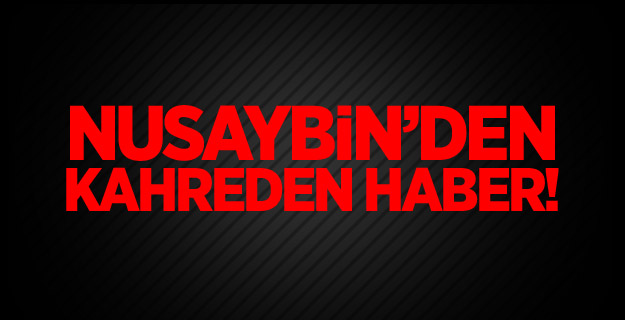 Nusaybin'den kahreden haber!