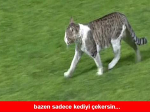 Kasımpaşa - Beşiktaş maçı capsleri!