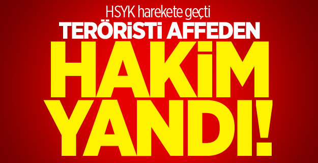 Aranan teröristi serbest bırakan hâkime inceleme