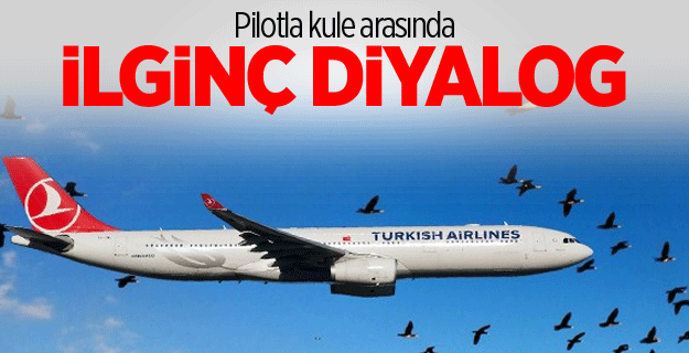 Uçaklar leyleklerin göçüne takıldı