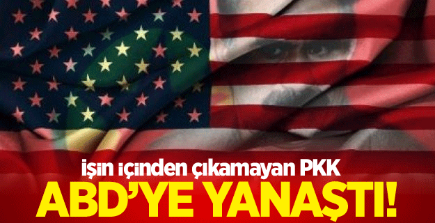 PKK ABD'den yardım istedi