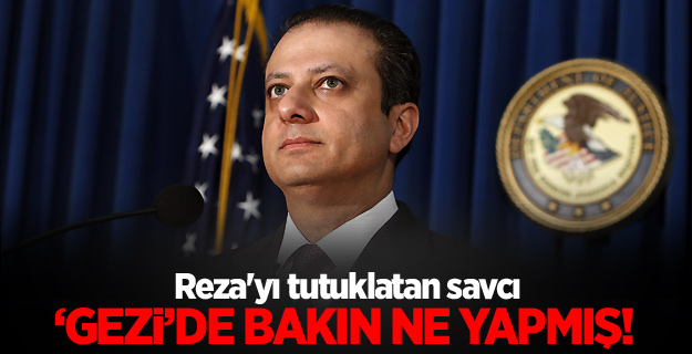 Reza'yı tutuklatan savcı gezi hacker'ını korumuş