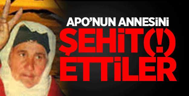 Öcalan'ın annesini "şehit" ilan ettiler