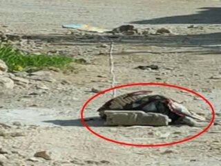 Şırnak'ta toprağa gömülü silahlar bulundu
