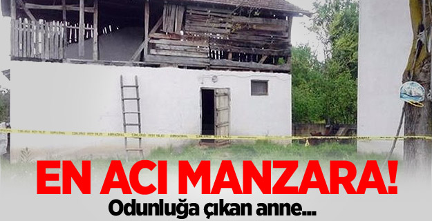 Odunluğa çıkan anne şoke oldu!