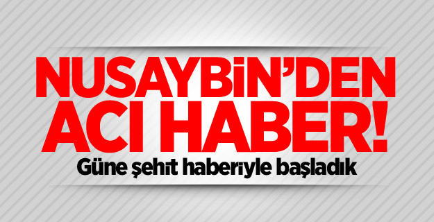 Mardin'den acı haber! 2 şehit