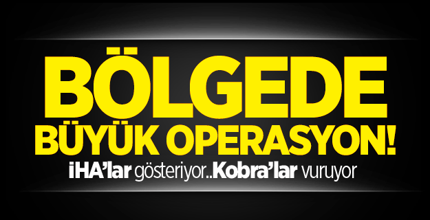 Hakkari'de PKK'ya büyük operasyon!