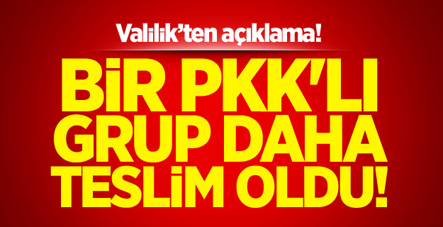 Bir PKK'lı grup daha teslim oldu!