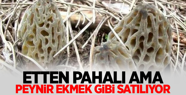 Etten pahalı ama peynir ekmek gibi satılıyor