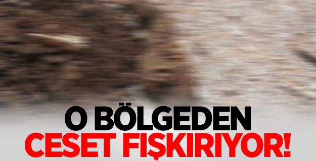 O bölgeden ceset fışkırıyor !