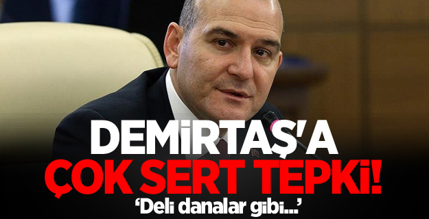 Demirtaş'a çok sert tepki