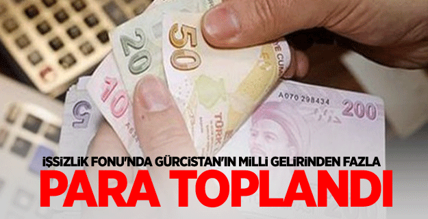 İşsizlik Fonu'nda Gürcistan'ın milli gelirinden fazla para toplandı