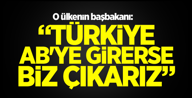 Avusturya Başbakanı'ndan Türkiye açıklaması