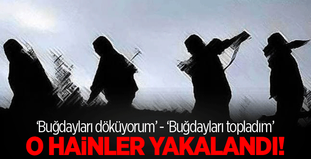 Şehidin katilleri yakalandı!