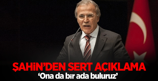 Şahin'den FETÖ açıklaması