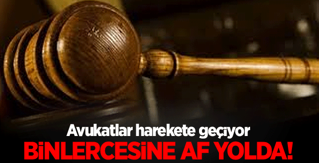Erdoğan bir kereliğine affetti