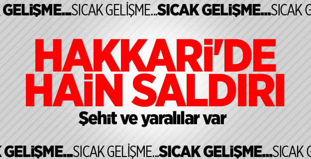 Hakkari'de hain saldırı