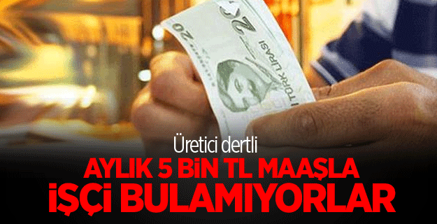 İncir üreticisi 5 bin TL maaşla işçi bulamıyor
