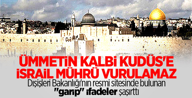 Bakanlığın sitesinde bulunan garip ifadeler şaşırttı