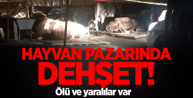 İzmir'de silahlı kavga: 3 ölü
